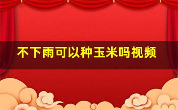 不下雨可以种玉米吗视频