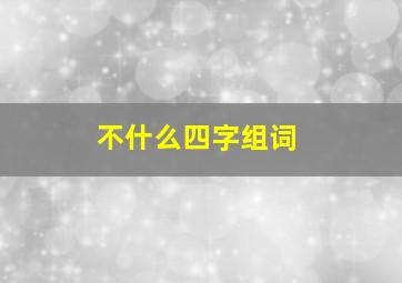 不什么四字组词