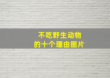 不吃野生动物的十个理由图片