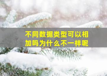 不同数据类型可以相加吗为什么不一样呢