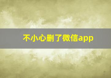 不小心删了微信app