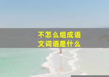 不怎么组成语文词语是什么