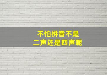 不怕拼音不是二声还是四声呢