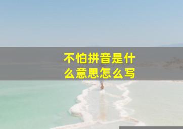 不怕拼音是什么意思怎么写