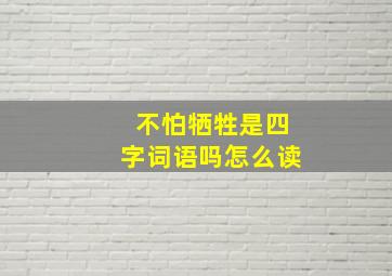 不怕牺牲是四字词语吗怎么读