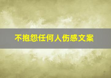 不抱怨任何人伤感文案