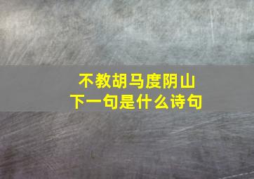 不教胡马度阴山下一句是什么诗句