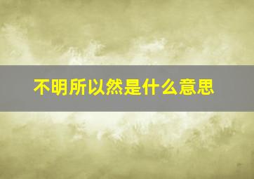 不明所以然是什么意思