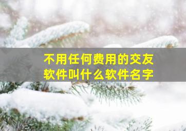 不用任何费用的交友软件叫什么软件名字