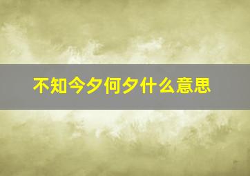 不知今夕何夕什么意思