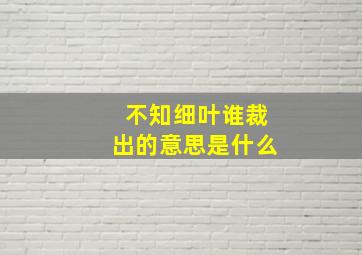 不知细叶谁裁出的意思是什么