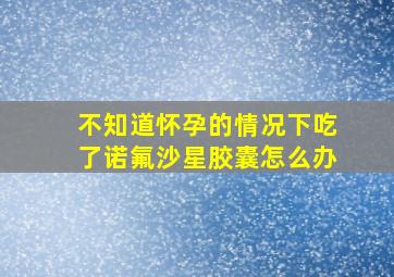 不知道怀孕的情况下吃了诺氟沙星胶囊怎么办