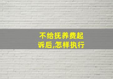 不给抚养费起诉后,怎样执行