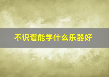 不识谱能学什么乐器好