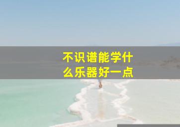 不识谱能学什么乐器好一点