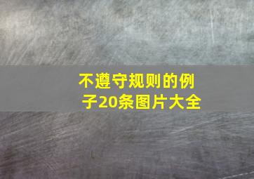 不遵守规则的例子20条图片大全