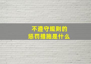 不遵守规则的惩罚措施是什么