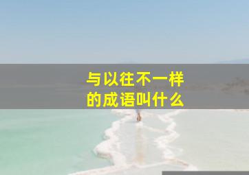 与以往不一样的成语叫什么