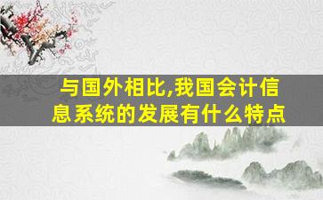 与国外相比,我国会计信息系统的发展有什么特点