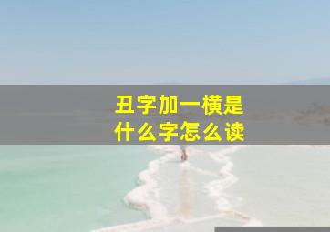 丑字加一横是什么字怎么读