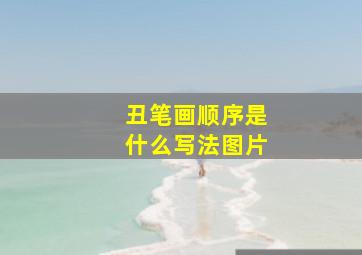 丑笔画顺序是什么写法图片