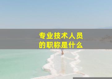 专业技术人员的职称是什么