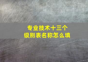 专业技术十三个级别表名称怎么填