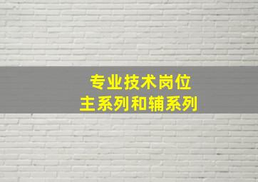 专业技术岗位主系列和辅系列