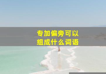 专加偏旁可以组成什么词语