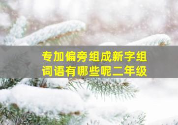 专加偏旁组成新字组词语有哪些呢二年级