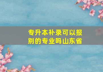 专升本补录可以报别的专业吗山东省