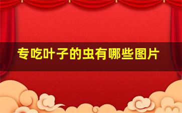 专吃叶子的虫有哪些图片