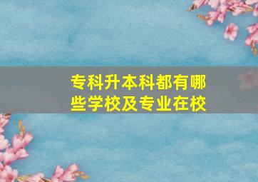 专科升本科都有哪些学校及专业在校