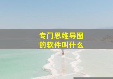 专门思维导图的软件叫什么