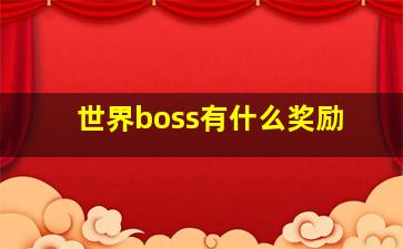 世界boss有什么奖励