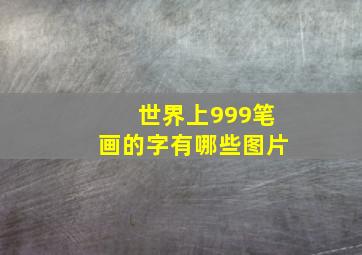 世界上999笔画的字有哪些图片