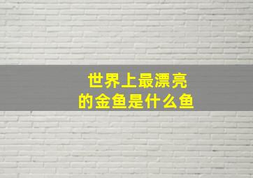 世界上最漂亮的金鱼是什么鱼