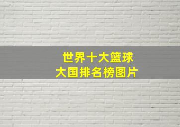 世界十大篮球大国排名榜图片