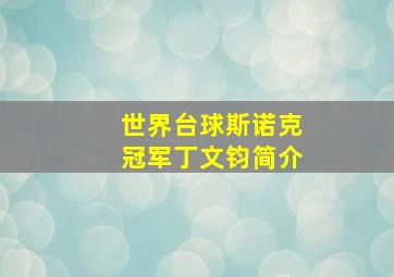 世界台球斯诺克冠军丁文钧简介