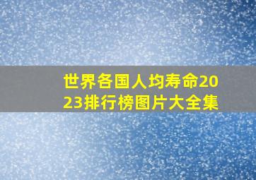 世界各国人均寿命2023排行榜图片大全集