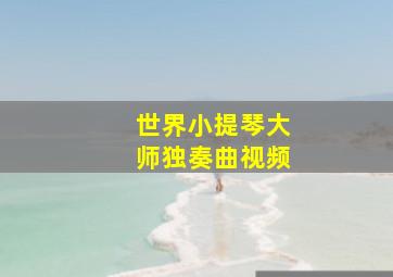 世界小提琴大师独奏曲视频