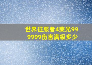 世界征服者4荣光999999伤害满级多少