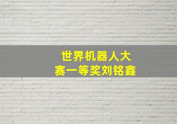 世界机器人大赛一等奖刘铭鑫