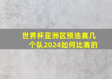 世界杯亚洲区预选赛几个队2024如何比赛的