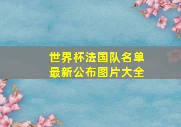 世界杯法国队名单最新公布图片大全