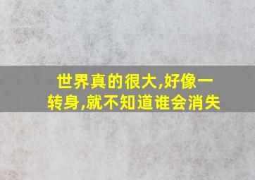 世界真的很大,好像一转身,就不知道谁会消失