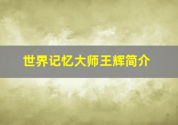 世界记忆大师王辉简介