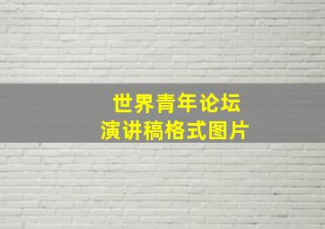 世界青年论坛演讲稿格式图片