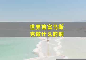 世界首富马斯克做什么的啊