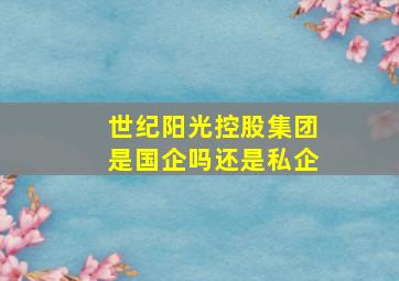 世纪阳光控股集团是国企吗还是私企